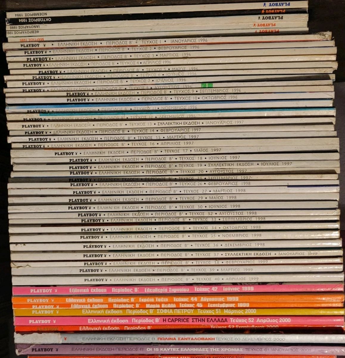 Vendora Playboy - Max - Image 2